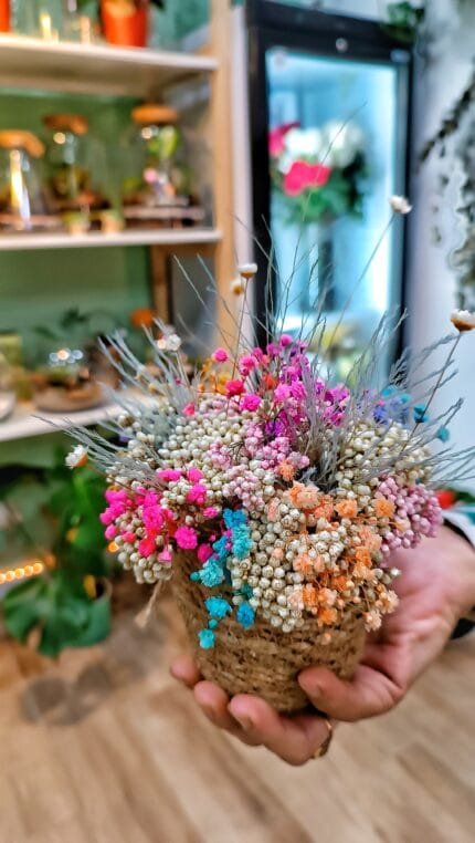 Cestita de Paniculata de Colores y Flor de Arroz