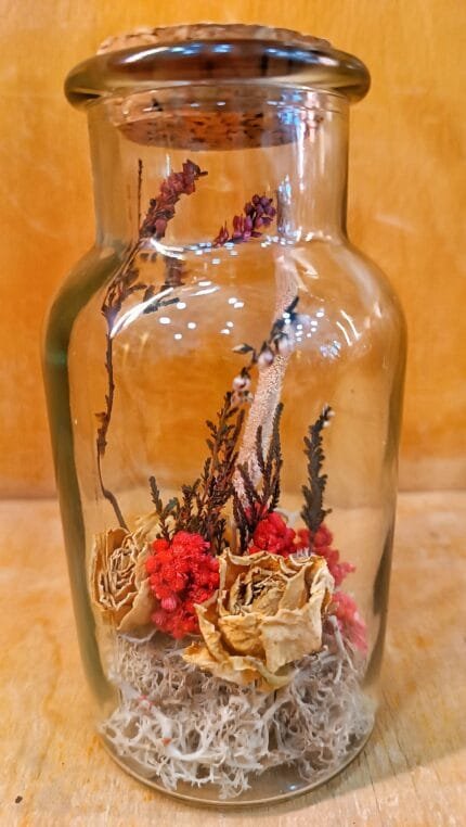 Frasco Flor Seca Musgo Preservado