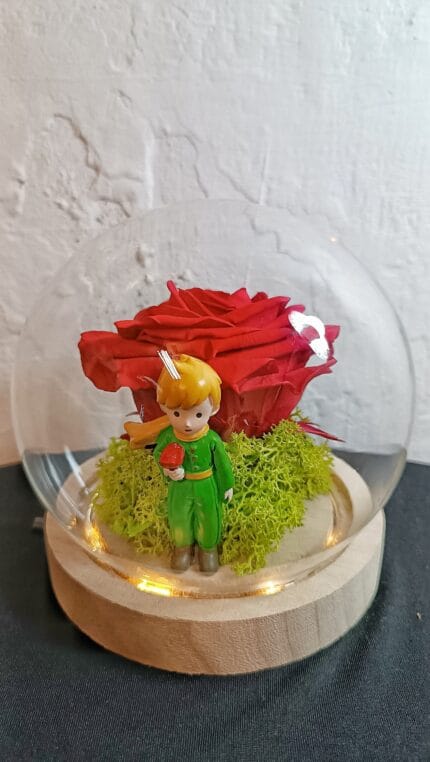 Cúpula Rosa Preservada Principito
