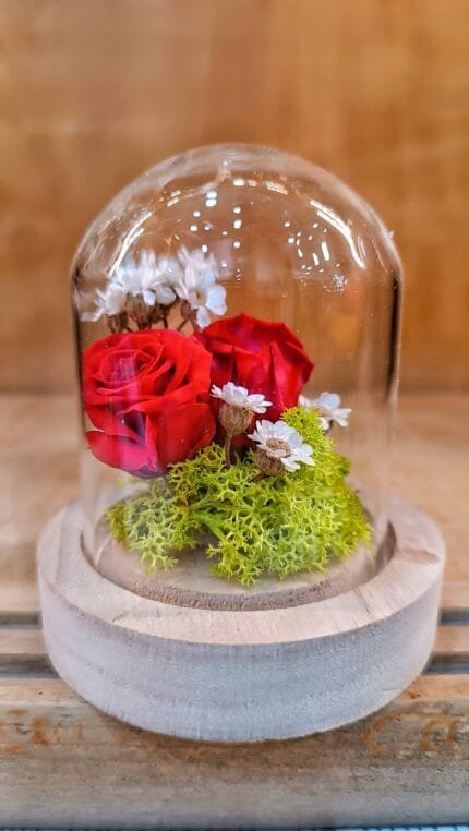 Mini Cúpula de Rosas Preservadas