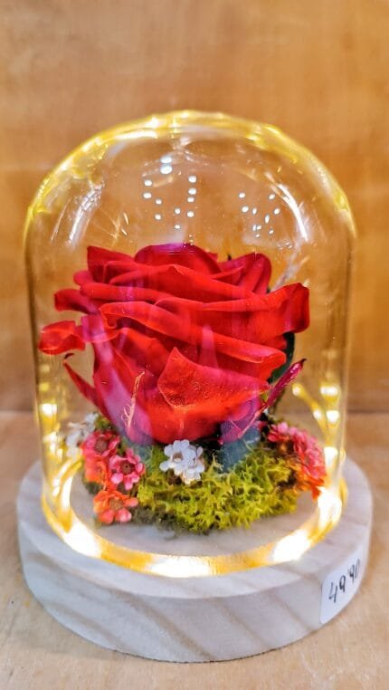 Cúpula de Rosa Preservada Iluminada