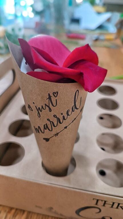 Pétalos de Rosa con Cucuruchos