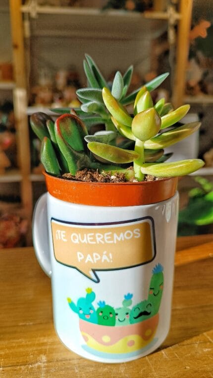 Taza Te Queremos Papá