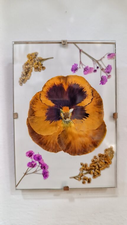 Cuadrito Flor Prensada