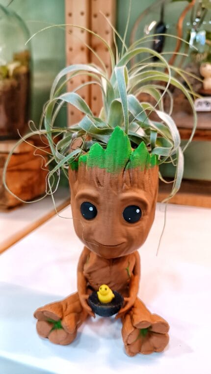 Figura Groot Maceta Thillandsia