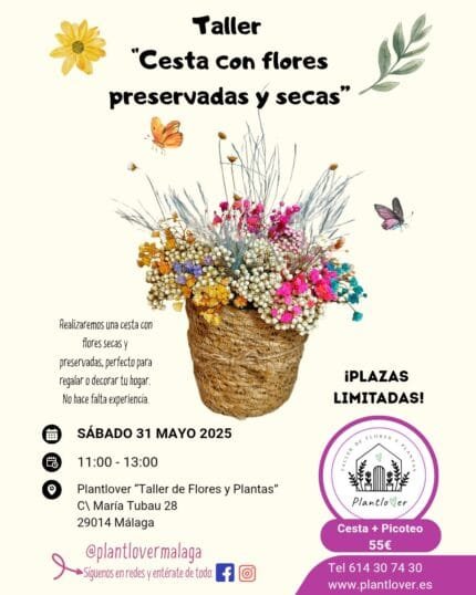 Taller de Cesta con Flor Preservada