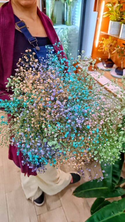 Ramo Paniculata Arcoiris