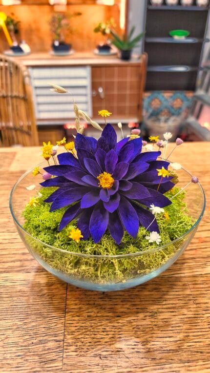 Cúpula Dalia Preservada