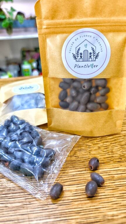 Semilla Flor De Loto