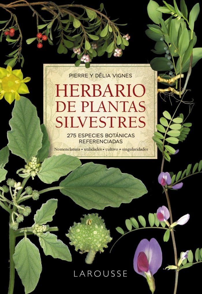 Herbario plantas silvestres