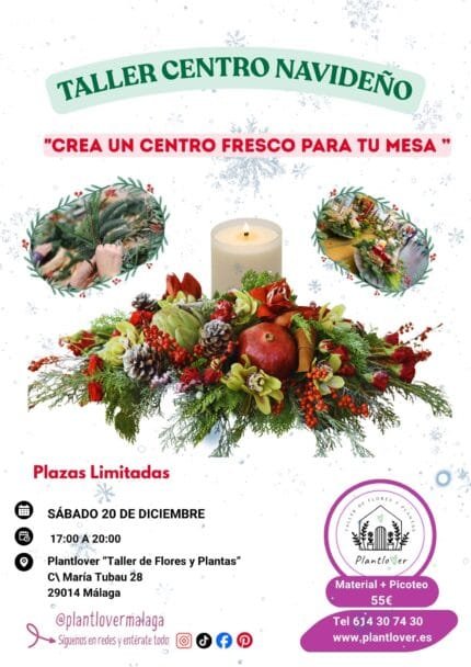Taller Crea tu Centro Navideño