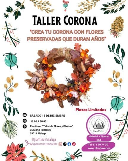 Taller Corona Preservada