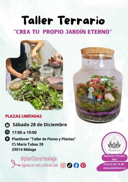 Taller Crea tu Terrario